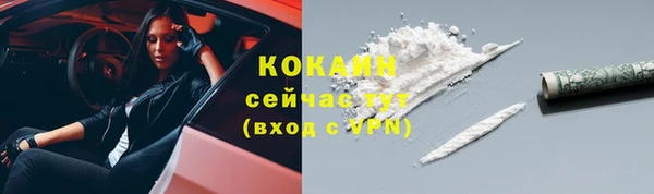 метадон Гусев