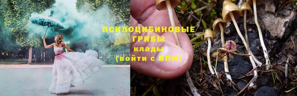 Альфа ПВП Кирсанов