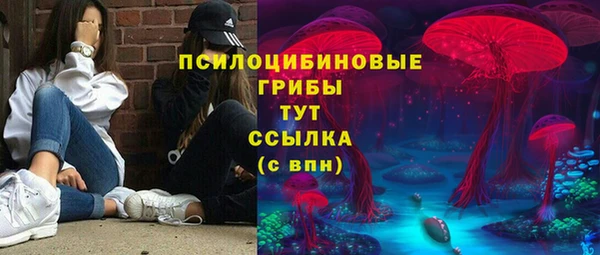 ECSTASY Гусиноозёрск