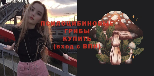 метадон Гусев