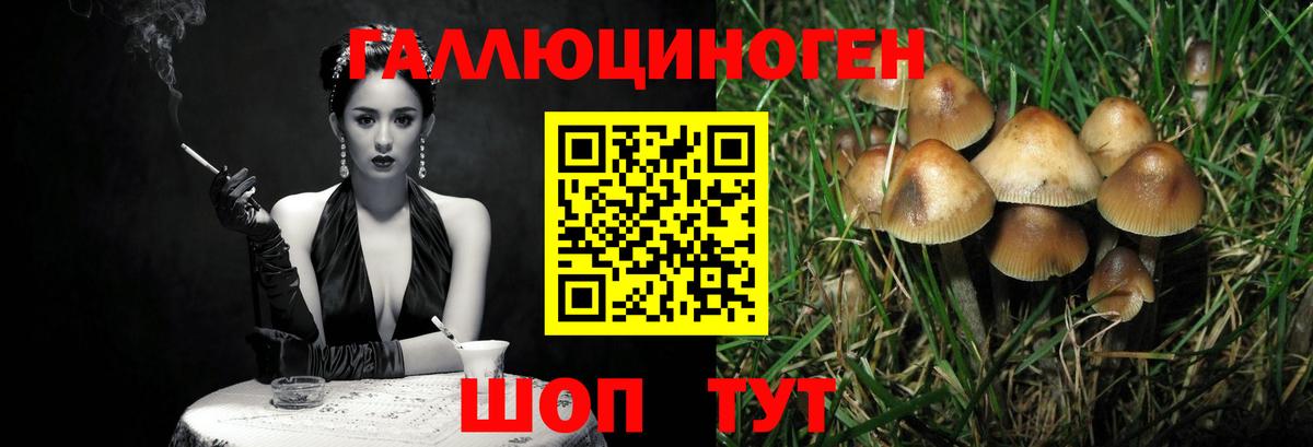 Галлюциногенные грибы мицелий Острогожск