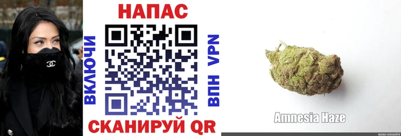 хочу наркоту  Острогожск  Шишки марихуана план 